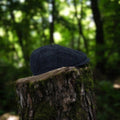 Casquette Baker Boy Harris Tweed® bleu marine posée sur une souche de bois moussue en forêt.