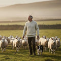 Jumper homme laine mérinos Bradwell Ivory