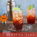 Cocktail de Gin American Fizz