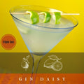 Cocktail de Gin, Gin Daisy