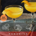 Cocktail de Gin Paradise