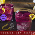 Cocktail de Gin Violet Gin Tonic