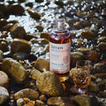 Bouteille de Single Malt Scotch Whisky Arran 9 ans Quarter Cask The Bothy posée sur une plage de galets